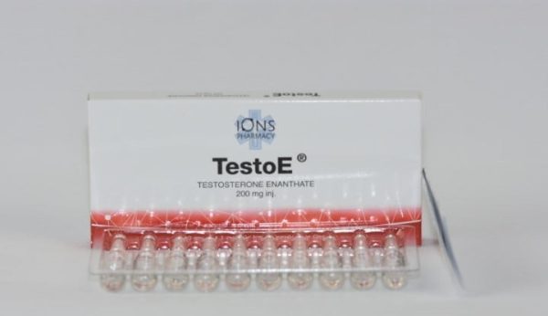 TestoE_2-1.jpg